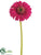 Gerbera Daisy Spray - Lavender - Pack of 24