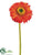 Gerbera Daisy Spray - Rust Orange - Pack of 24