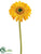 Gerbera Daisy Spray - Yellow - Pack of 24