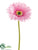 Large Gerbera Daisy Spray - Lavender Light - Pack of 24