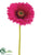 Large Gerbera Daisy Spray - Lavender - Pack of 24