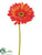 Large Gerbera Daisy Spray - Rust Orange - Pack of 24