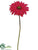 Gerbera Daisy Spray - Beauty - Pack of 12