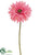 Gerbera Daisy Spray - Pink - Pack of 12