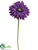 Gerbera Daisy Spray - Purple - Pack of 12