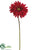 Gerbera Daisy Spray - Red - Pack of 12