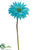 Gerbera Daisy Spray - Turquoise - Pack of 12