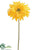 Gerbera Daisy Spray - Yellow - Pack of 12