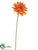 Gerbera Daisy Spray - Turquoise - Pack of 12