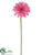 Gerbera Daisy Spray - Pink Hot - Pack of 12