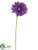 Gerbera Daisy Spray - Purple - Pack of 12