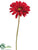 Gerbera Daisy Spray - Red - Pack of 12