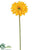 Gerbera Daisy Spray - Turquoise - Pack of 12