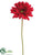 Gerbera Daisy Spray - Red - Pack of 12