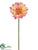 Gerbera Daisy Spray - Peach - Pack of 24