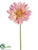 Large Royal Gerbera Daisy Spray - Peach - Pack of 24