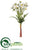 Mini Daisy Bundle - White - Pack of 12