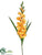 Gladiolus Spray - Yellow - Pack of 12