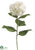 Hydrangea Spray - Cream White - Pack of 12