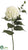 Hydrangea Spray - Cream - Pack of 12