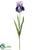 Iris Spray - Purple - Pack of 12