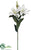 Casablanca Lily Spray - Cream Green - Pack of 6