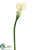 Calla Lily Spray - White - Pack of 12