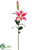 Casablanca Lily Spray - Rubrum Pink - Pack of 12