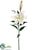 Casablanca Lily Spray - White - Pack of 12