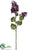 English Lilac Spray - Purple Two Tone - Pack of 12