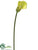 Calla Lily Spray - Cream Green Cream Lavender Cream Purple Green Light - Pack of 12