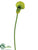 Calla Lily Spray - Cream Green Cream Lavender Cream Purple Green Light - Pack of 12