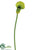 Calla Lily Spray - Green - Pack of 12