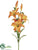 Lily Spray - Orange - Pack of 12