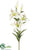 Lily Spray - White - Pack of 12