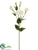 Lisianthus Spray - Cream White - Pack of 12