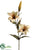 Large Lily Spray - Amber - Pack of 12