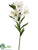 Tiger Lily Spray - Cream - Pack of 6