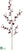 Oncidium Orchid Spray - Burgundy - Pack of 12