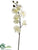 Phalaenopsis Orchid Spray - White - Pack of 12