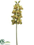 Silk Plants Direct Cymbidium Orchid Spray - Green Burgundy - Pack of 6