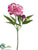 Peony Spray - Fuchsia Pink - Pack of 12