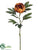 Peony Spray - Orange Rust - Pack of 12