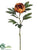 Peony Spray - Orange Rust - Pack of 12