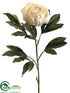 Silk Plants Direct Peony Spray - Vanilla - Pack of 12