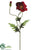 Poppy Spray - Red Brick - Pack of 12