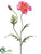 Poppy Spray - Rose Two Tone - Pack of 12