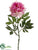 Peony Spray - Pink Lavender - Pack of 12