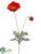 Poppy Spray - Flame - Pack of 12