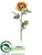 Ranunculus Spray - Jute - Pack of 12